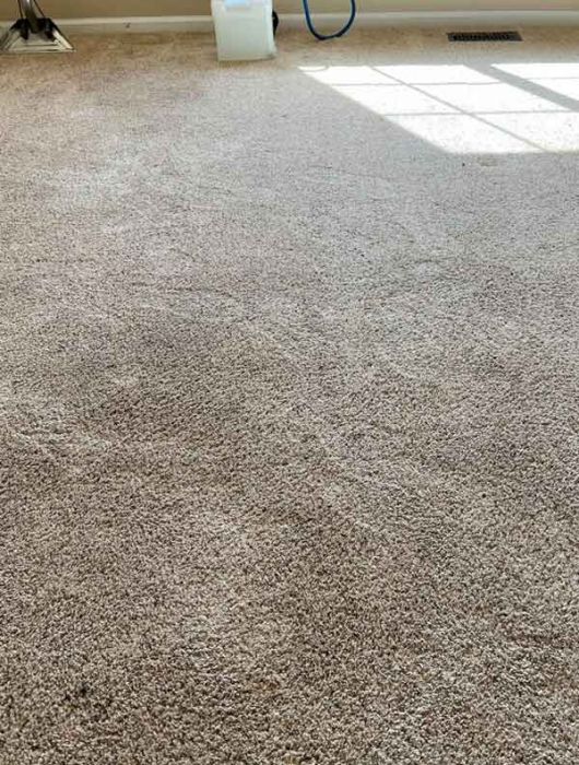 Before Carpet Cleaning in Garden City